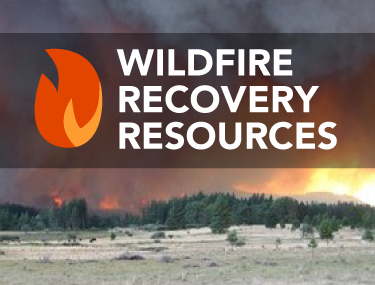 2020 Statewide Wildfires Debris Removal Update: Major Milestones Hit in Communities Throughout California