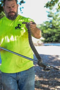Rattlesnake Wrangler Lou Fraser holding rattlesnake