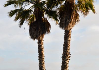 CERT-Conference-5153