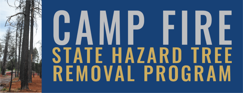 Camp Fire Recovery: Honey Run Road One Step Closer to Reopening Following Successful Hazardous Tree Removal