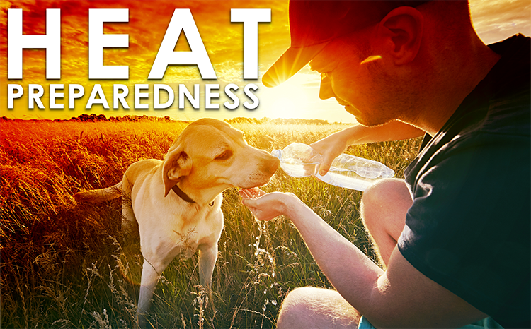 Emergency Preparedness Means Preparing our Pets too!