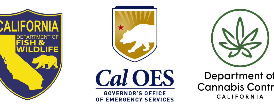 Unified Cannabis Enforcement Taskforce Targets Illegal Indoor Cultivation in Industrial Warehouses in Southern California in Second Operation