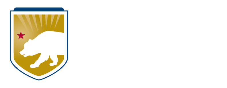 TRANSPARENT LOGO