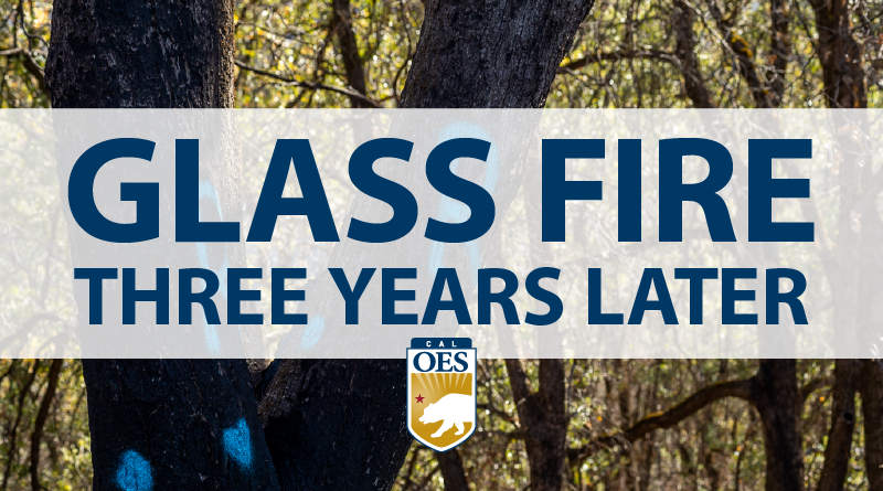 Three Years of Recovery Following the Glass Fire