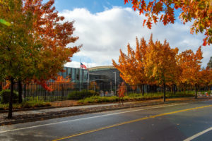HQ FALL COLORS