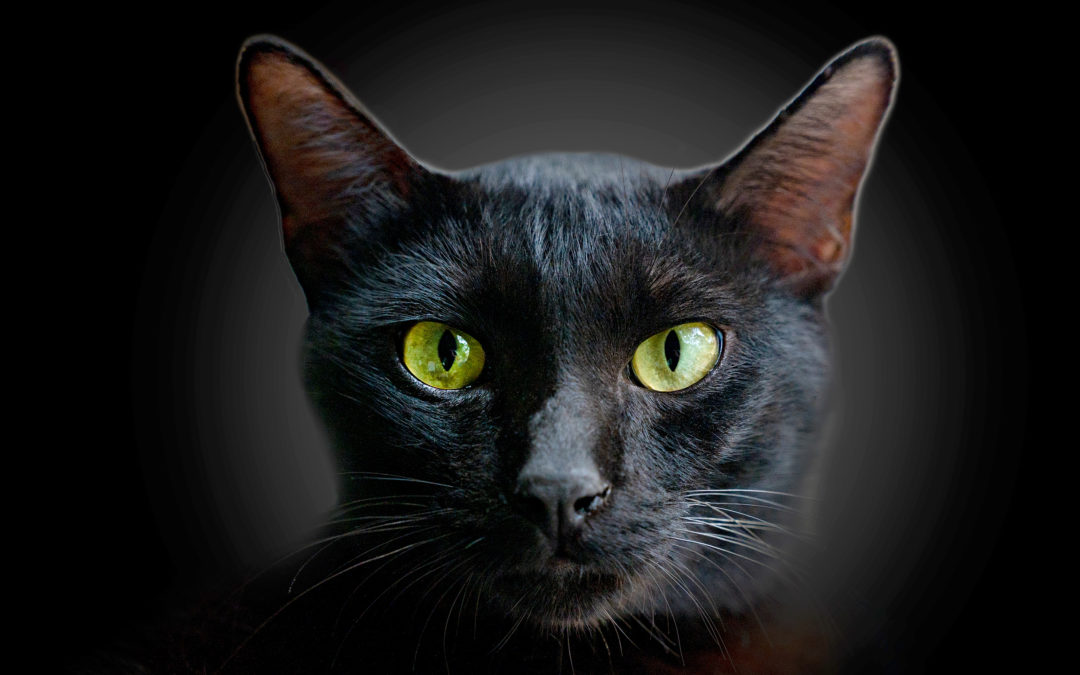 Don’t Press Your Luck this Friday the 13th, Get Prepared