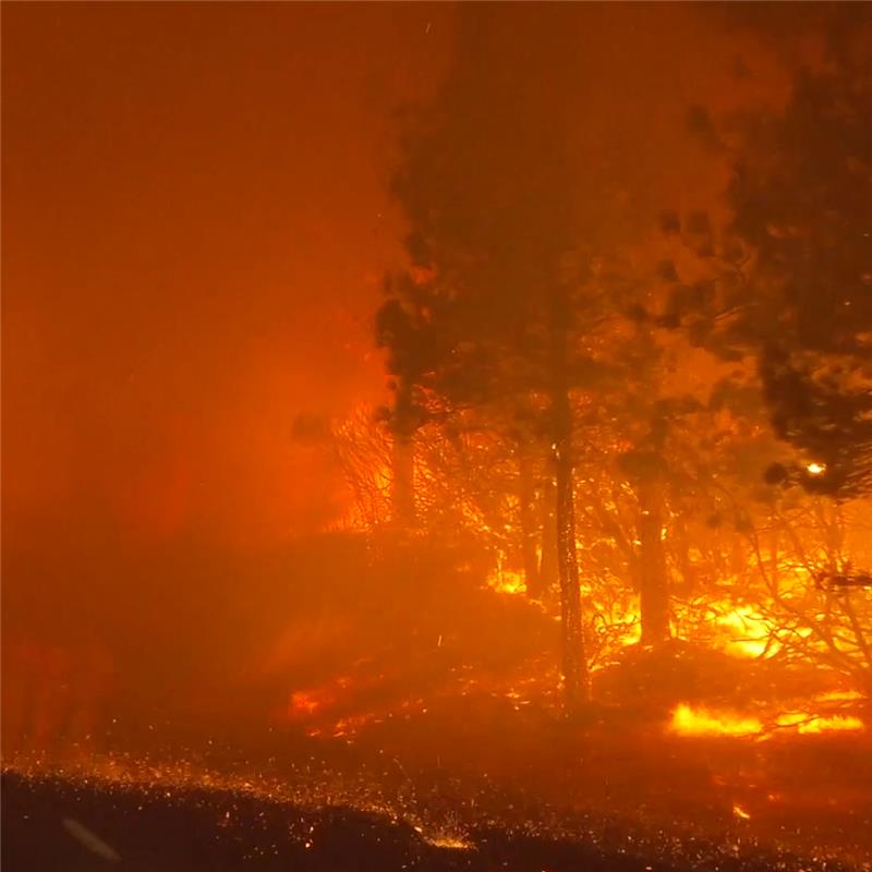 e154eaa5-0b19-485b-8f44-d436351a9863 An image of a wildfire in a California forest, with only the outlines of trees visible among the flames.