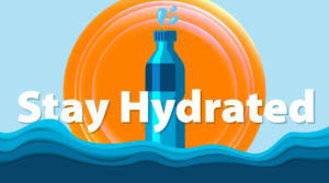 Stay Hydrated