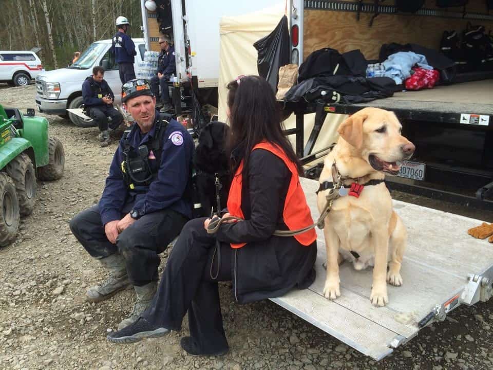 Prepare pets and large animals for evacuations