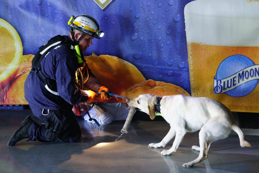 Sentinel Response Eighteen Full Scale Exercise at Sleep Train Arena