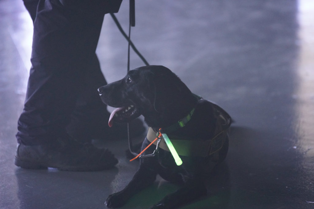 Sentinel Response Eighteen Full Scale Exercise at Sleep Train Arena