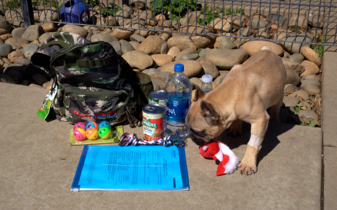Cal OES Encourages all Californians to Prepare for Wildfire by Building a Go-Bag