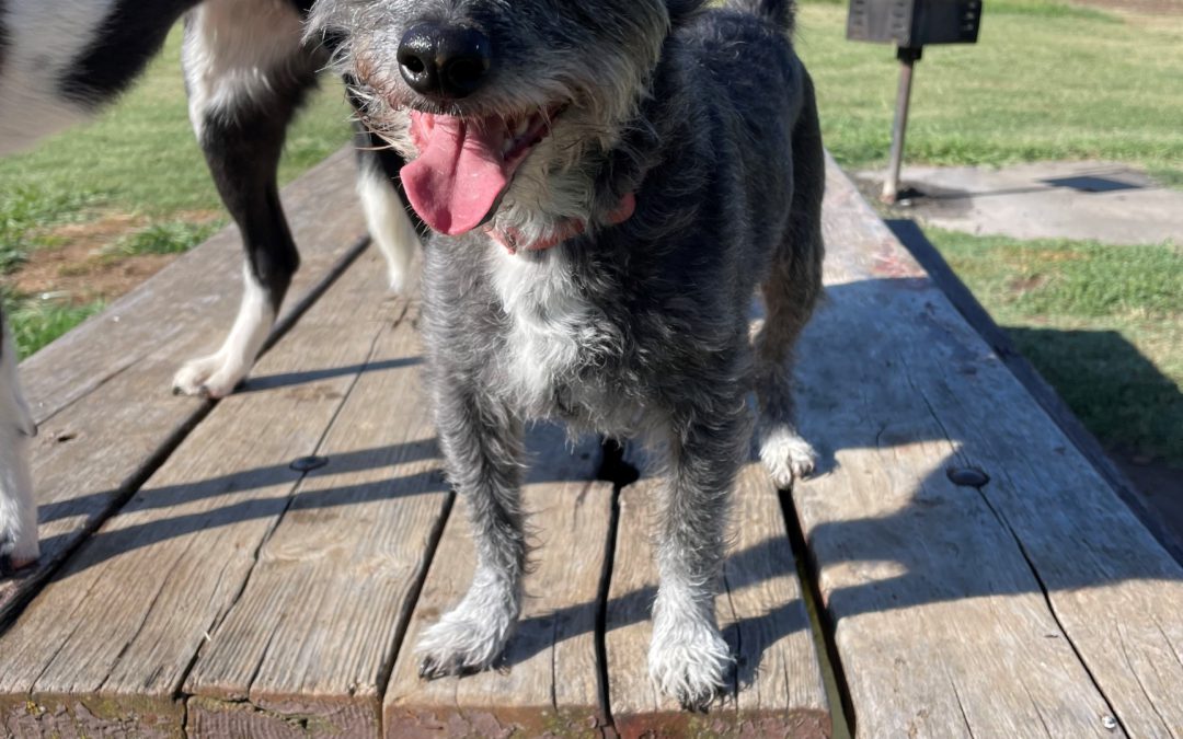 First Day of Summer: Tips to Stay Safe as the Seasons Change