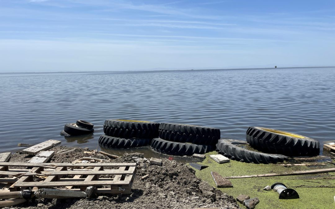 Tulare Lake Receding Due to Coordinated Action & Favorable Weather