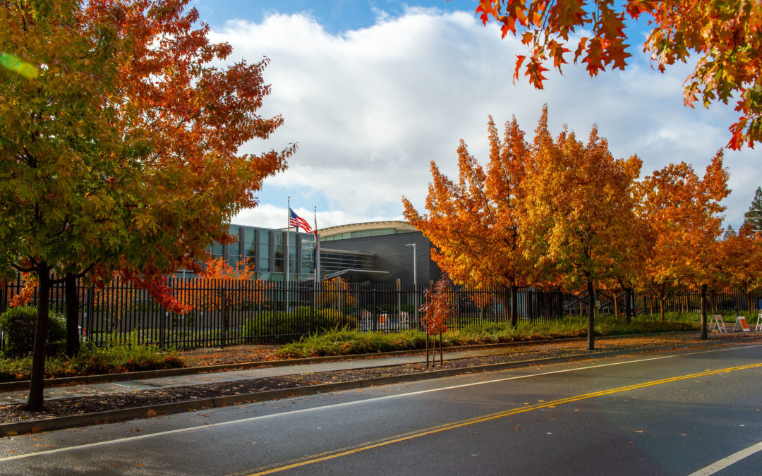 Seguridad durante Acción de Gracias