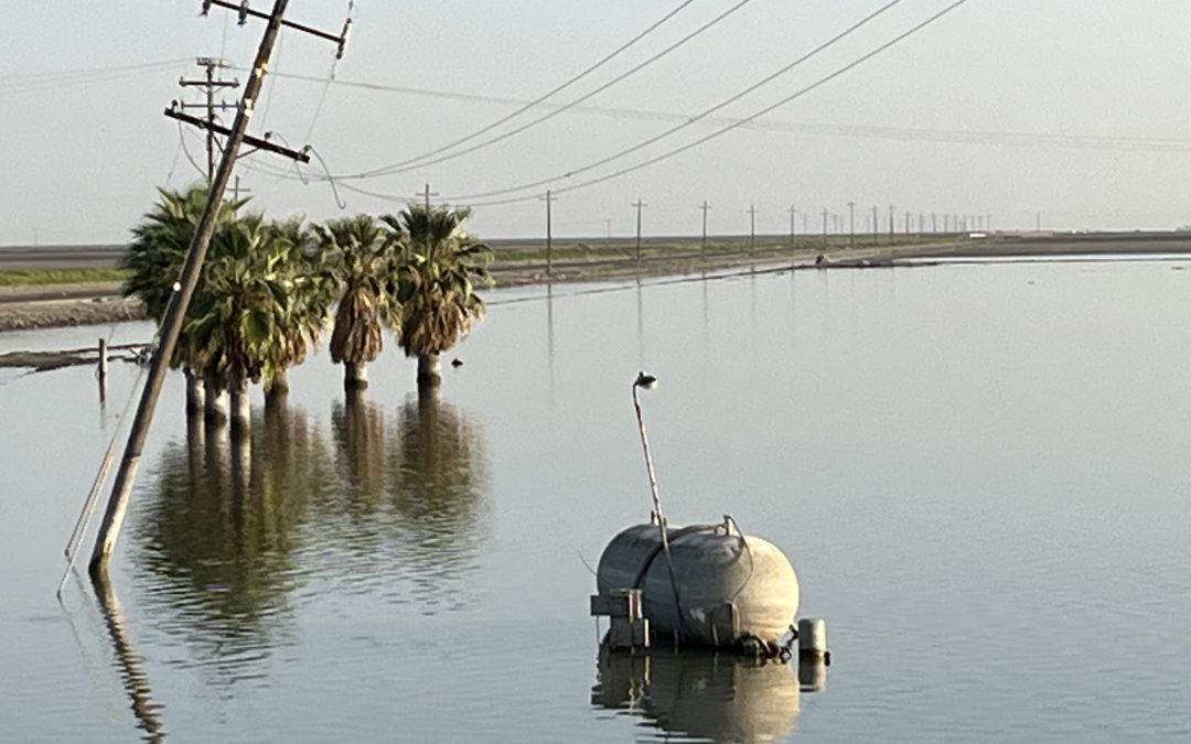 Tulare Lake Updates – September 2023