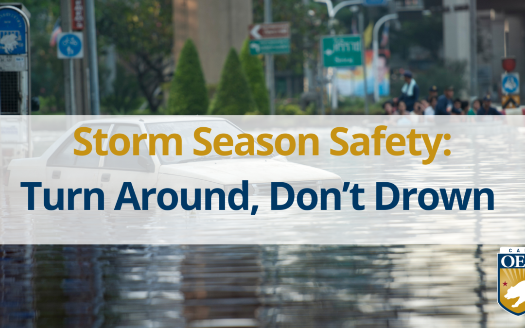 Storm Season Safety: During a Flood-Turn Around Don’t Drown. 
