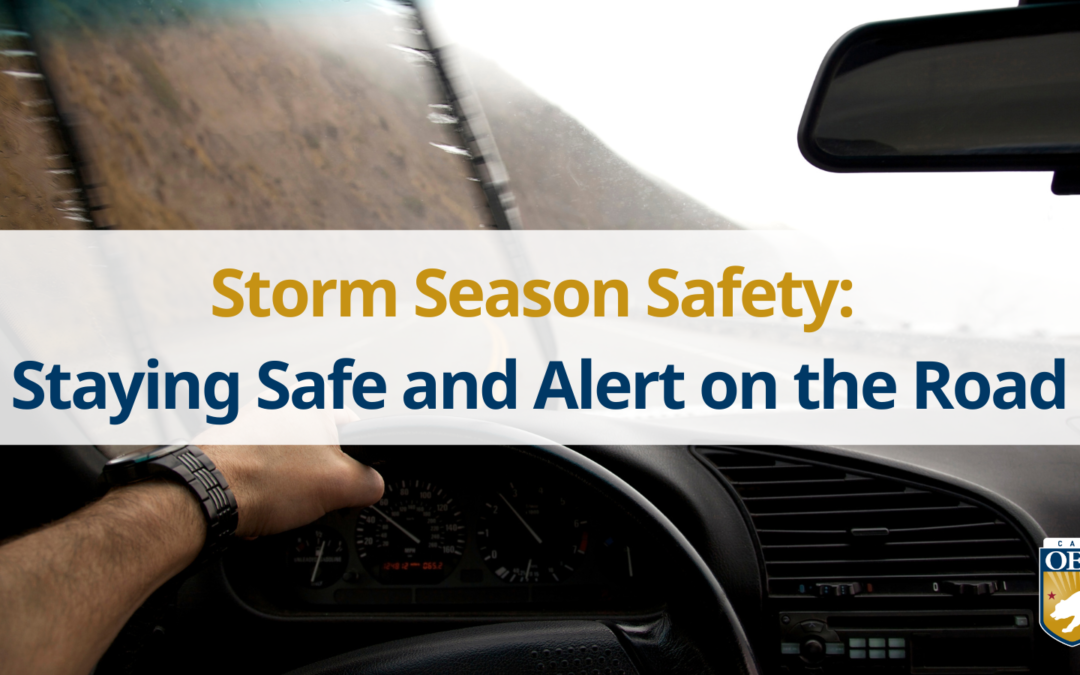 Storm Season Safety: Preparing Your Car Before the Storm Hits