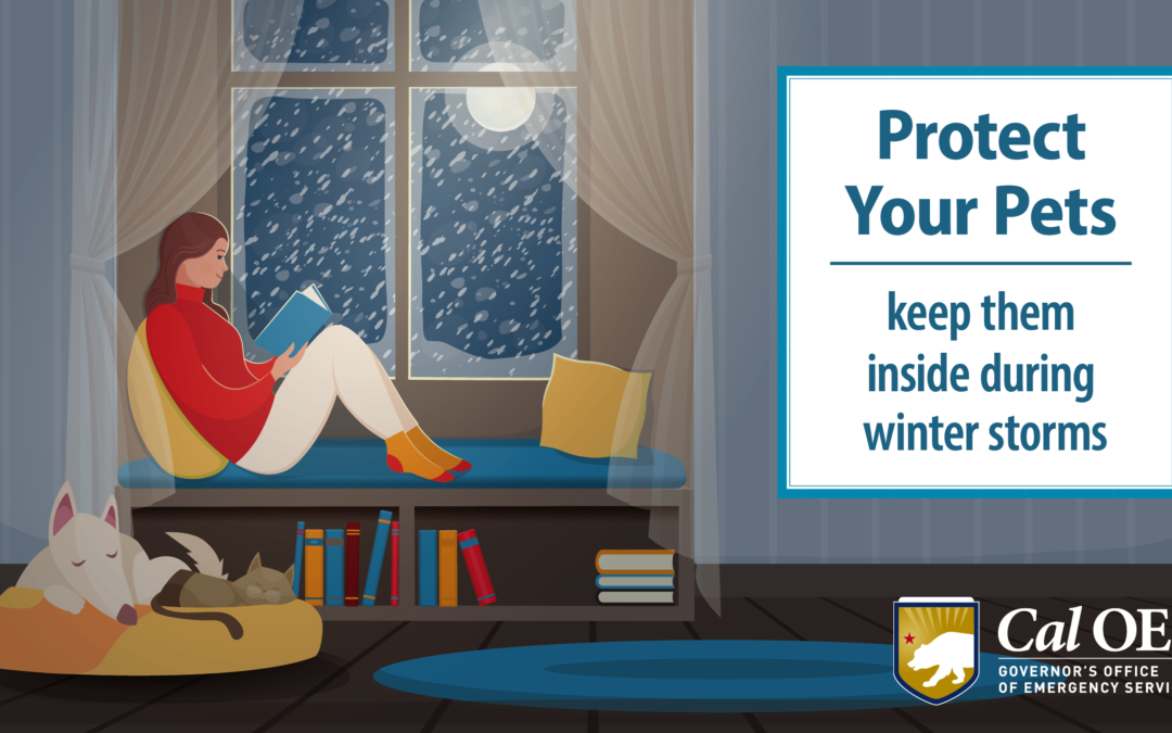 Storm Season Safety Large Animal Preparedness