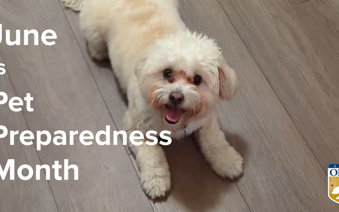 Include your Pets When Preparing for Emergencies