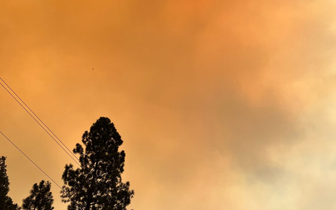 La Subvención para el manejo de Incendios (FMAG)